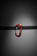 MPDS Carabiner